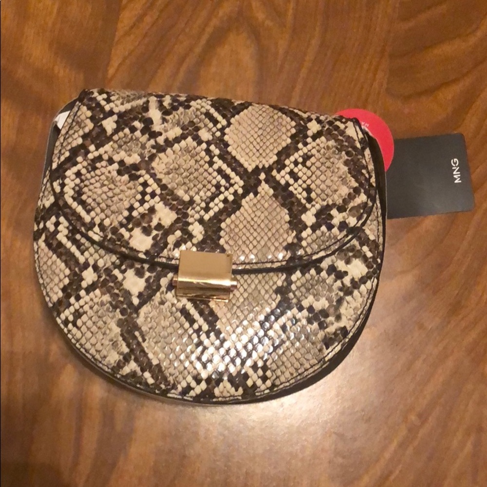 Snakeskin Purse